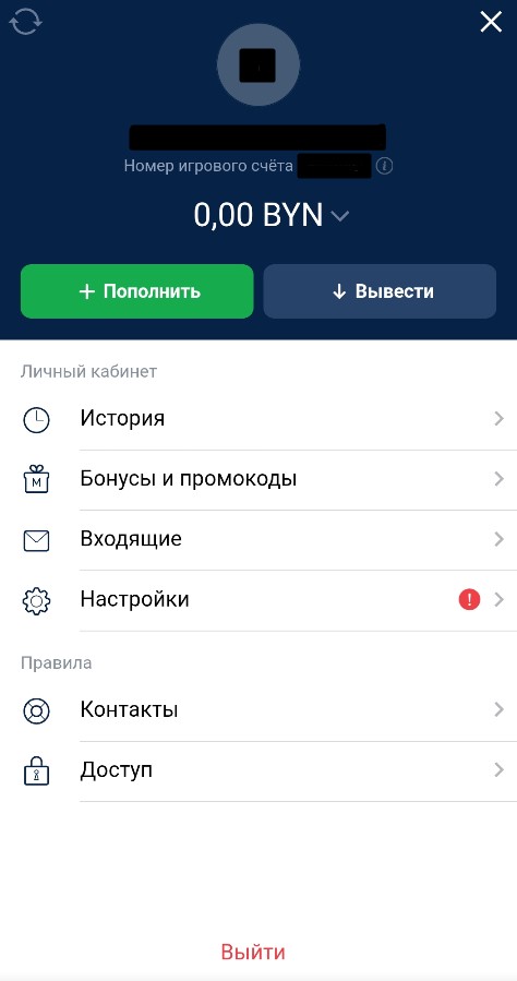 Личный кабинет в букмекерской конторе