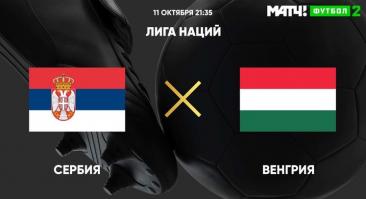 Сербия - Венгрия. Прямая трансляция, смотреть онлайн