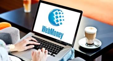WebMoney прекратила операции с рублевыми кошельками. ЦБ лишил лицензии за работу с теневым игорным бизнесом