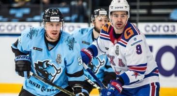 Минское «Динамо» в очередном матче регулярного чемпионата КХЛ сыграет со СКА. «Зубры» — андердог противостояния, на их победу выставлен коэффициент 5,1