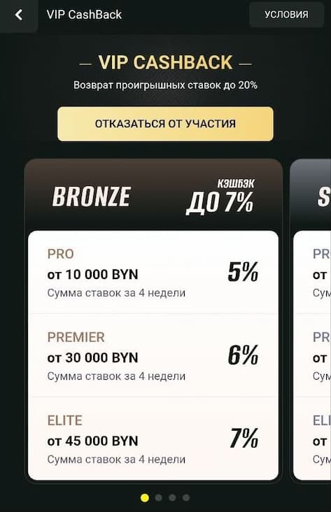 В Макслайн бай действует программа лояльности