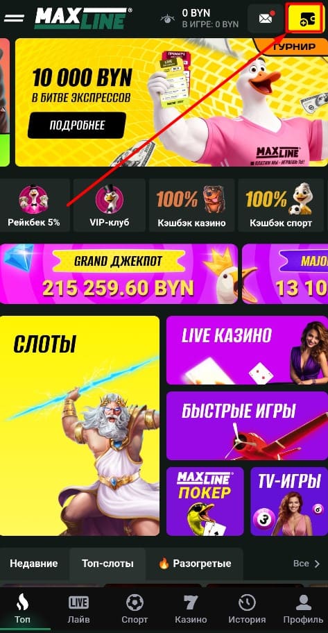 Пополнение в Maxline