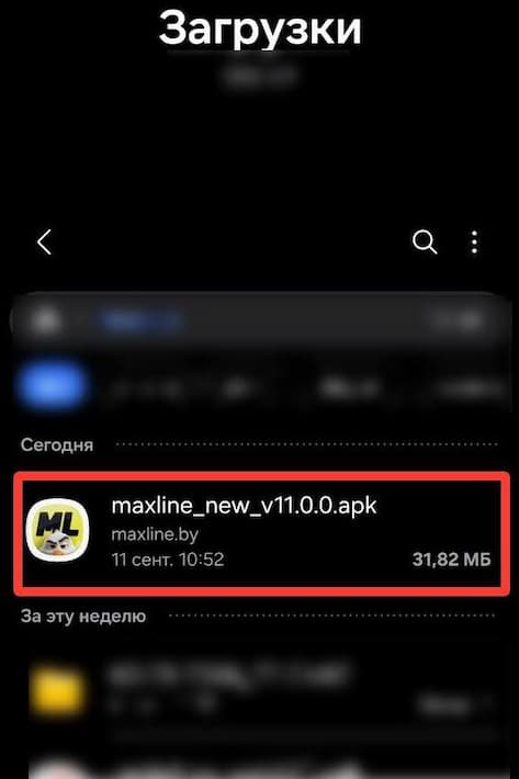 Мобильное приложение Maxline