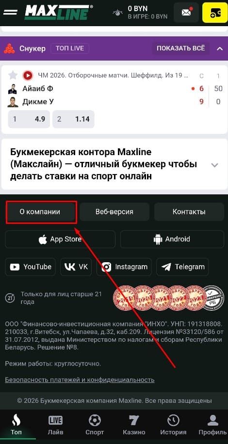 О компании Maxline