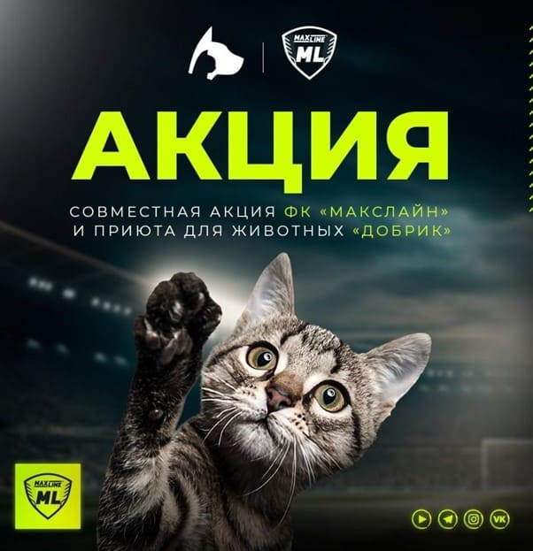 Акция Maxline