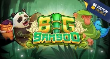 Big Bamboo slot от Push Gaming
