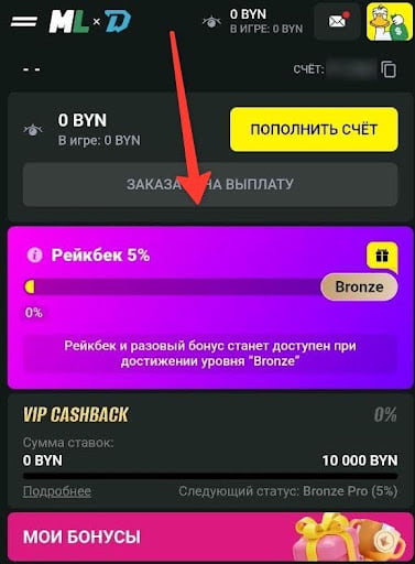 Кешбэк и программа лояльности