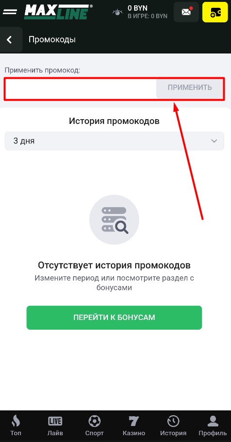 Ввод промокода в приложении Maxline