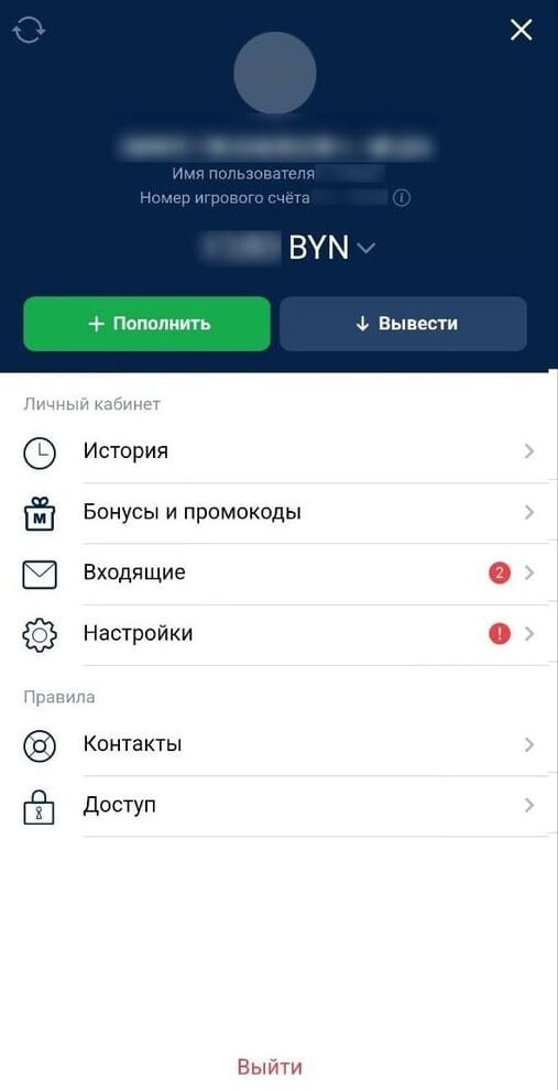 Личный кабинет в букмекерской конторе