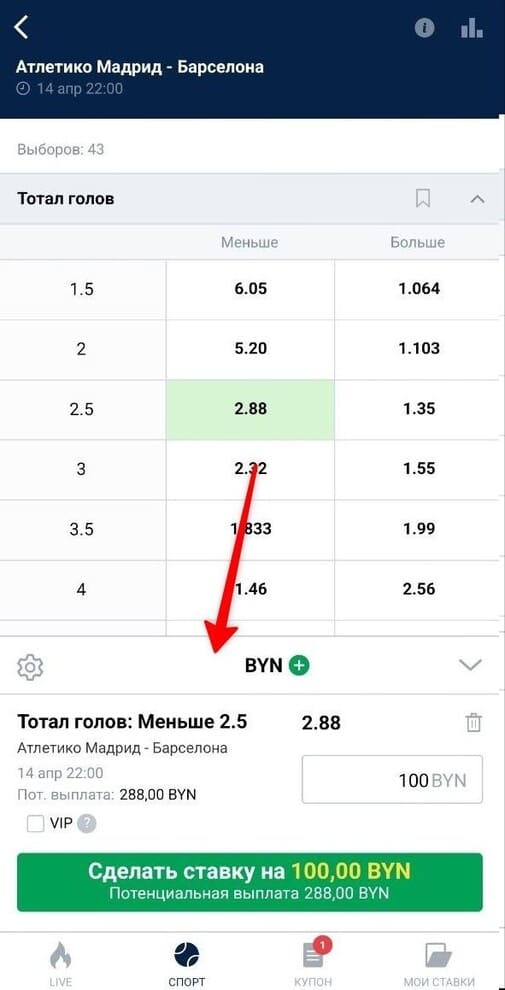 Купон ставки с тоталом в Марафон