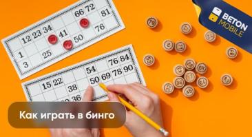 Как играть в бинго