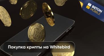 Как купить криптовалюту на Whitebird