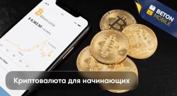 Что такое криптовалюта для начинающих