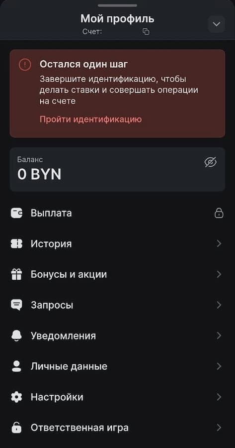 авторизация в приложении Fonbet