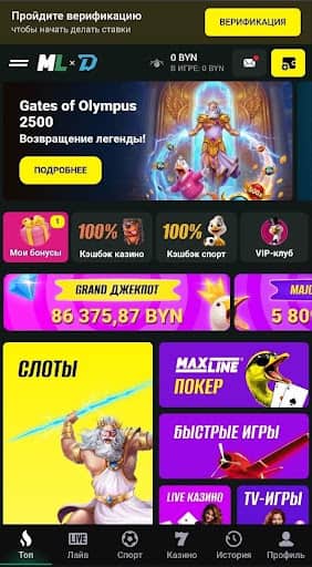 Макслайн – обзор, бонусы, отзывы