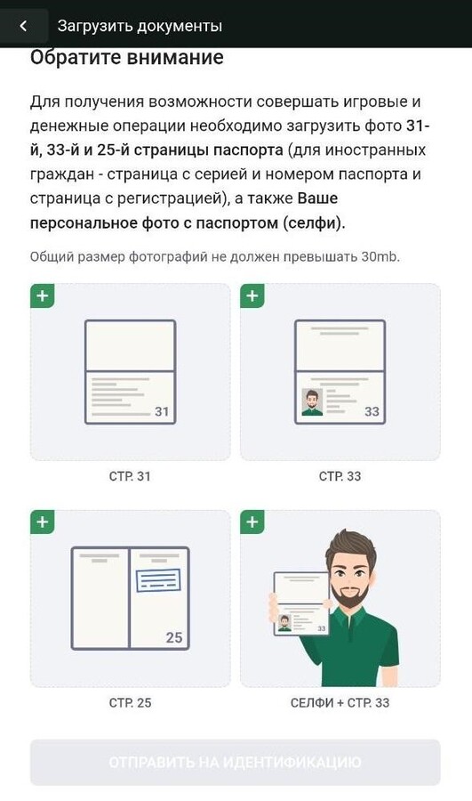 Верификация по паспорту в Maxline