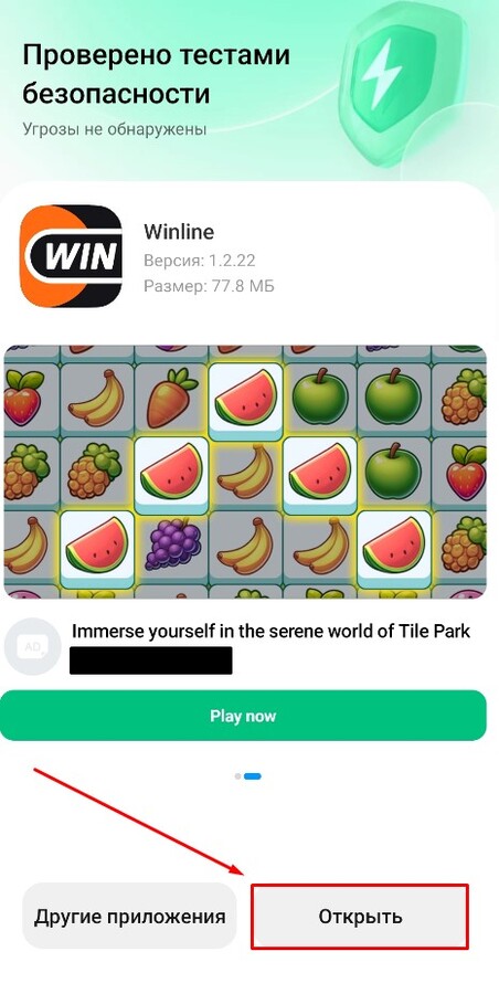 Безопасность приложения Winline