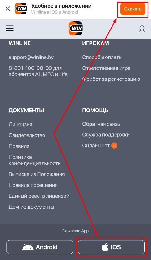 Информация о приложении Winline