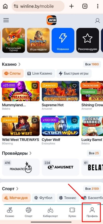 Слоты в букмекерской конторе Winline
