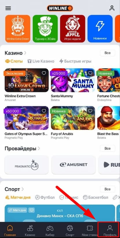 БК Винлайн профиль