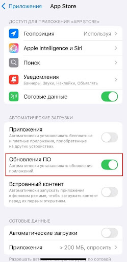 Найдите App Store: в блоке «Автоматические загрузки» включите «Обновления ПО».