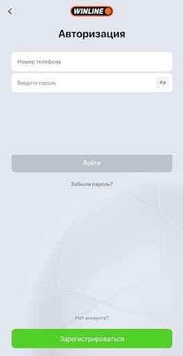 Авторизация в Винлайн