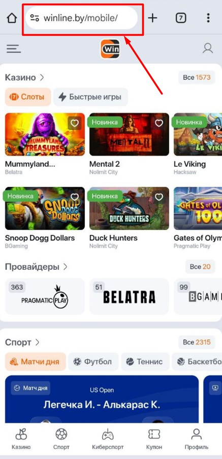 Перейдите на сайт Винлайн