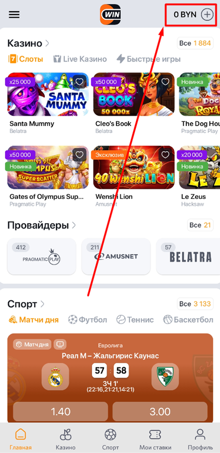 Пополните счет в БК Винлайн