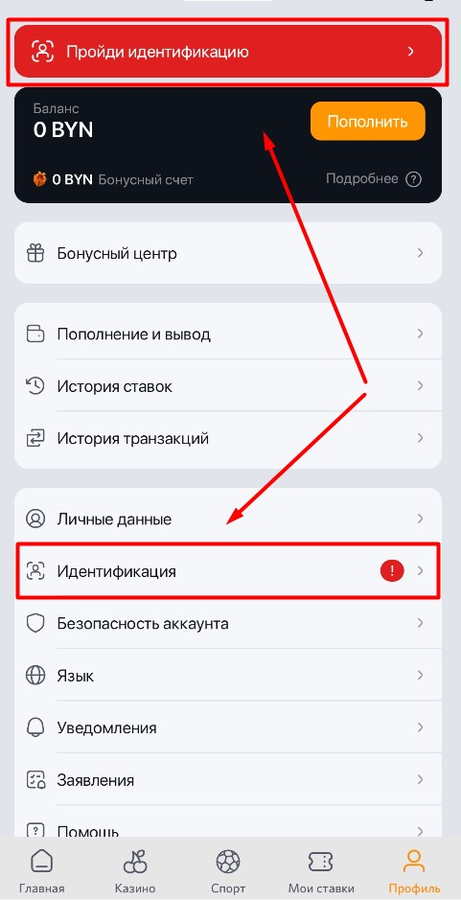 Откройте раздел идентификации Винлайн