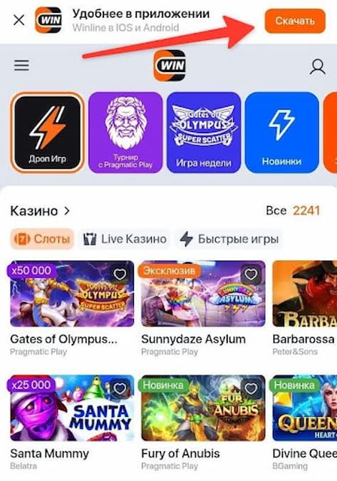 Приложение Винлайн