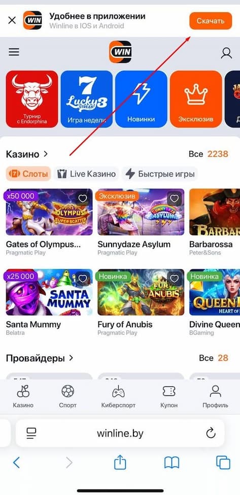 приложение winline android ios