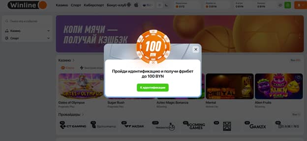 Идентификация