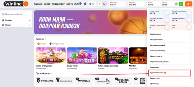 раздел «Идентификация»