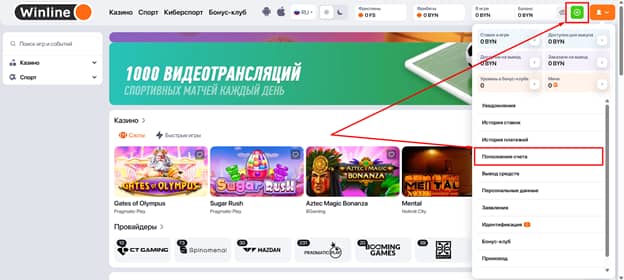 Кнопка пополнить баланс