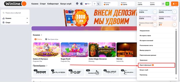 Идентификация