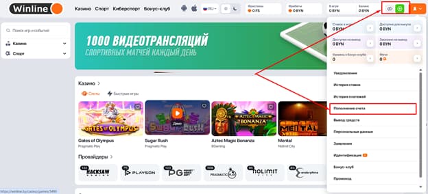 Пополнение счета
