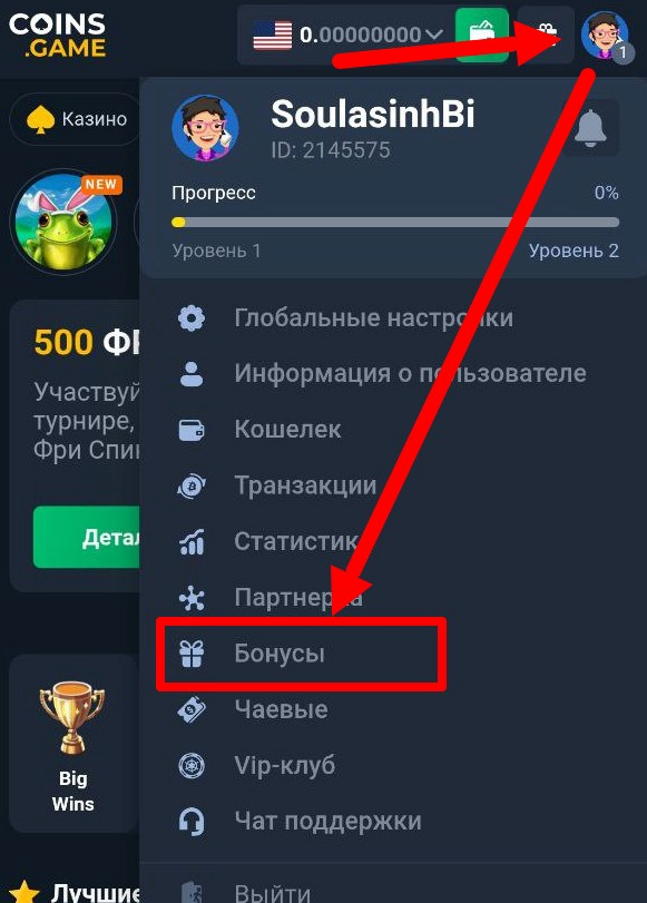 Раздел бонусы