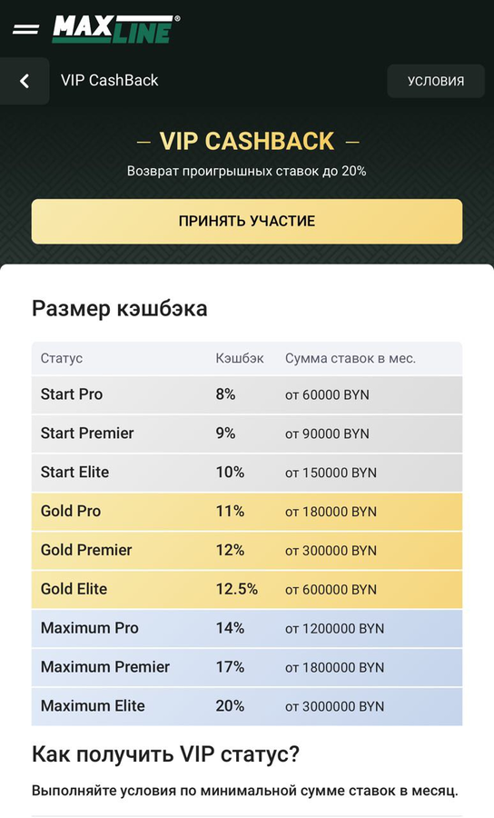 Программа лояльности Maxline