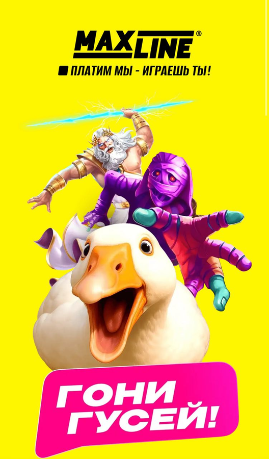 Срок действия бонусов на Макслайн