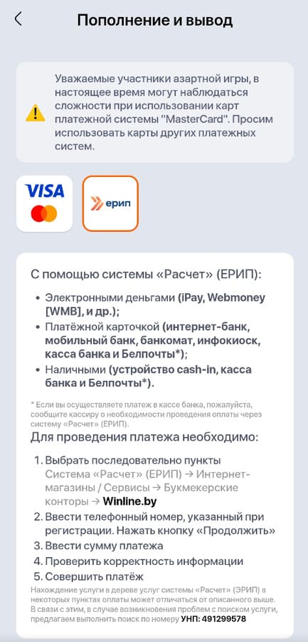 Пополнение и вывод на Винлайн