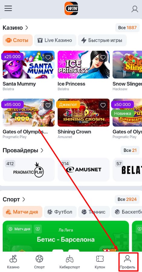 Авторизуйтесь на БК Винлайн