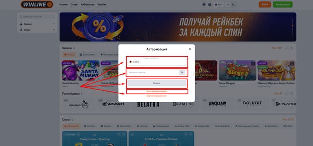 Укажите данные на винлайн