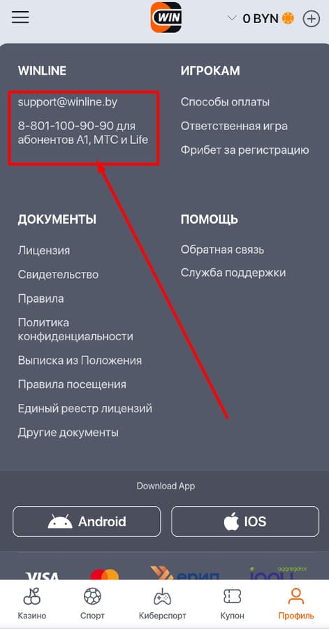 Служба поддержки Винлайн