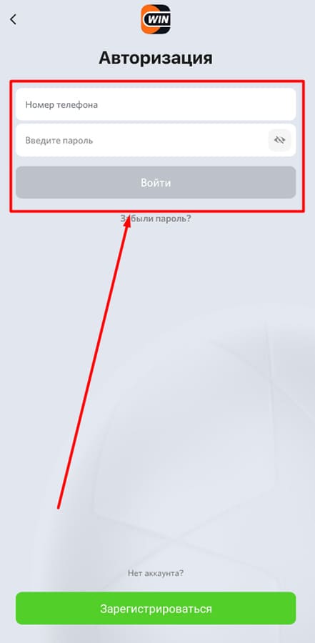 Укажите данные для входа на винлайн