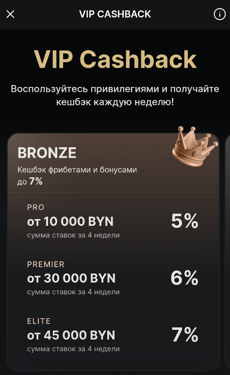 Бронзовый Вип кэшбэк в казино