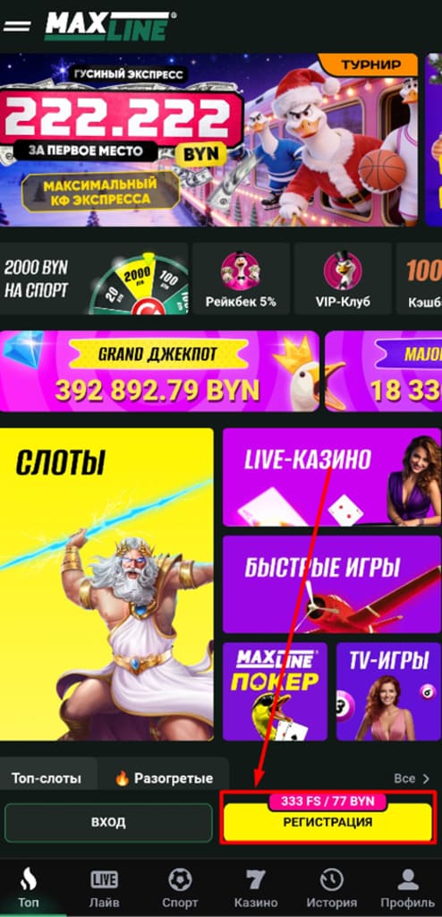 Запустите приложение Макслайн