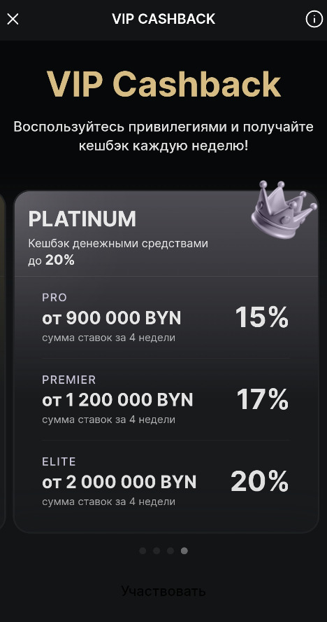 Платинум вип кэшбэк казино