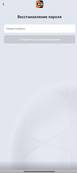Введите данные для восстановления пароля на Винлайн