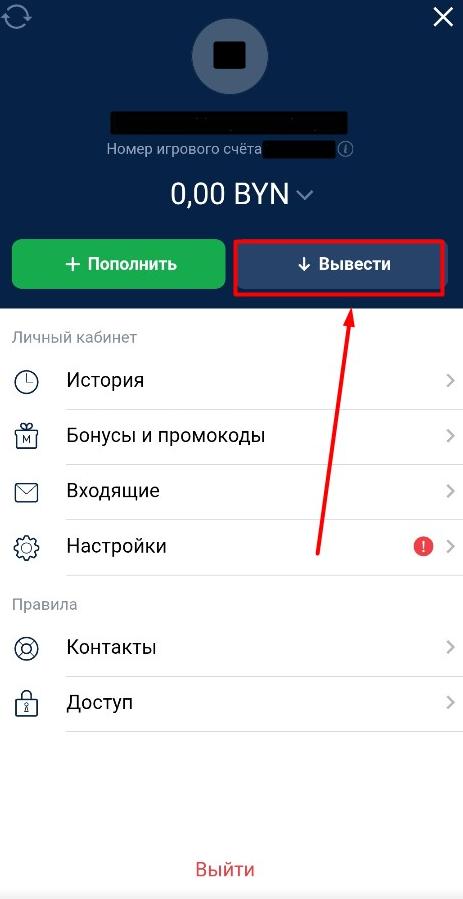 Меню профиля в букмекерской конторе Марафон