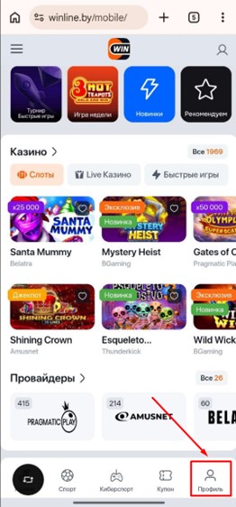 Перейдите в профиль приложения Винлайн